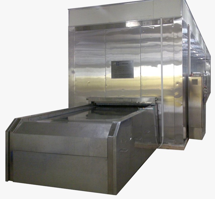 Tunnel IQF