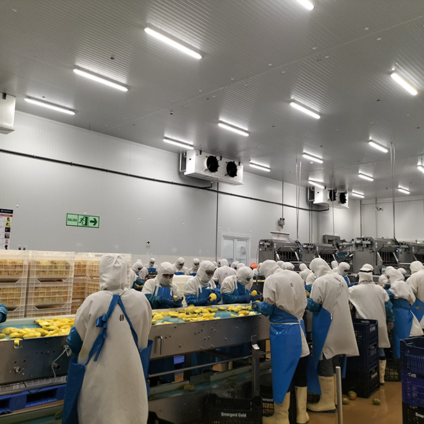 sistemas de climatización de sala de proceso industrial en Perú
